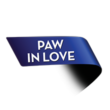 Paw in Love